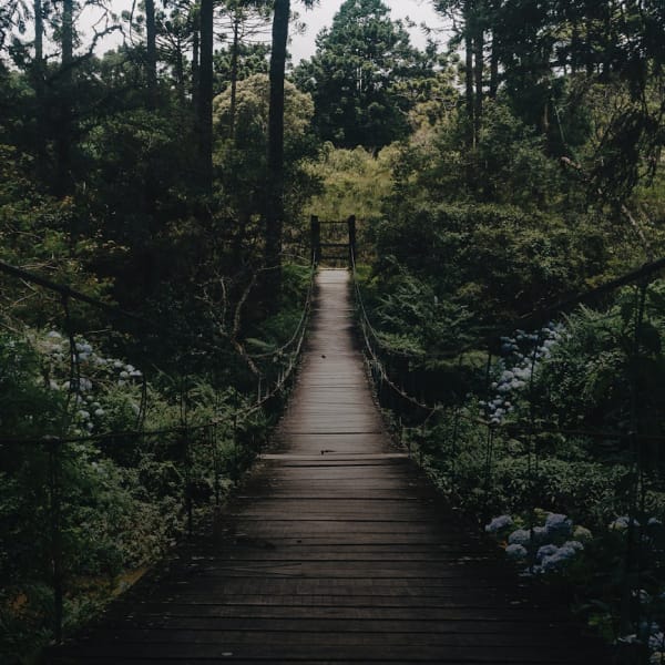 Salão de Cura dos Raios Cristalinos